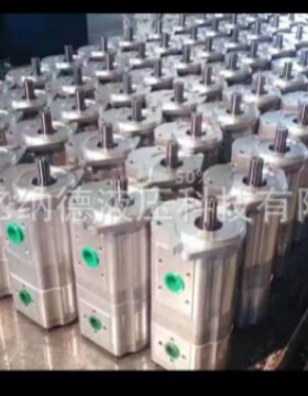 双联齿轮泵CBQT-F540/F416-CFHL CBQT-F540/F420-CFHL