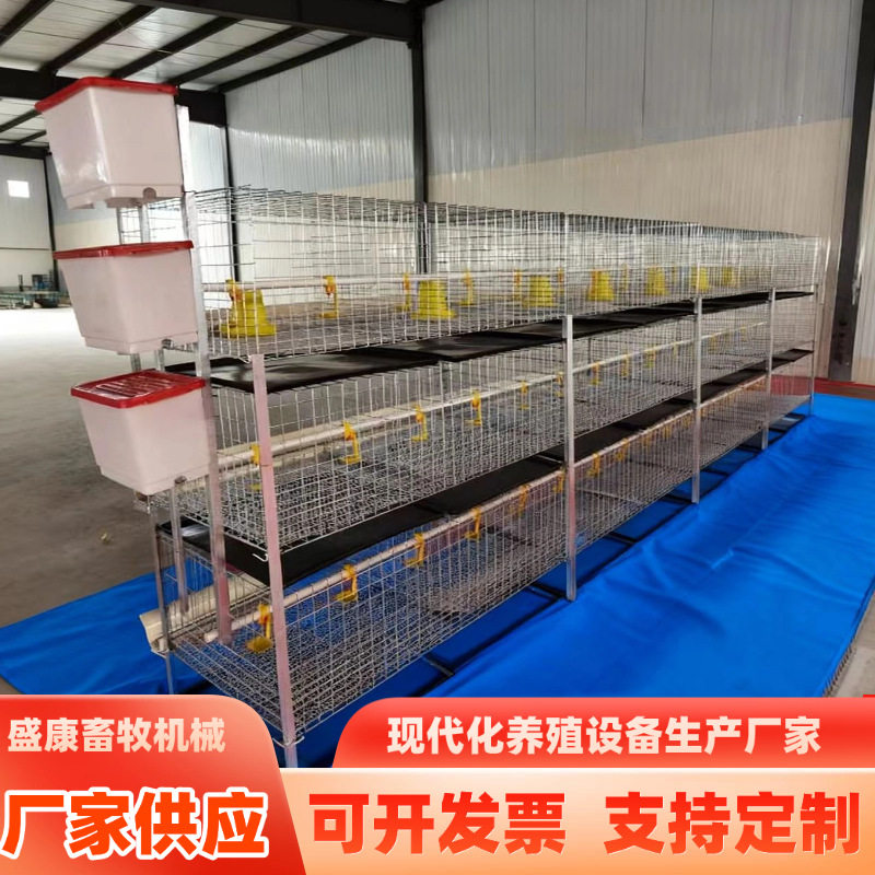 三层两门立体式H型肉鸡笼各种养鸡养殖设备鸡舍家禽镀锌肉鸡笼子