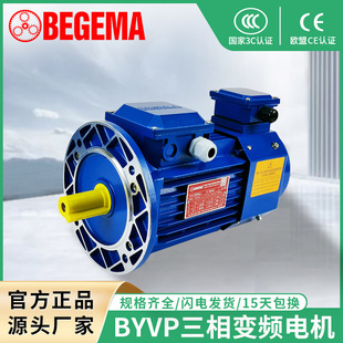 宝戈玛交流变频调速电机7.5KW变频电机YVP132M 4变频电机三相马达