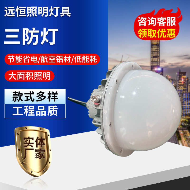 订置LED三防灯仓库用平台灯通路灯电厂发电灯加油站化工厂投光灯