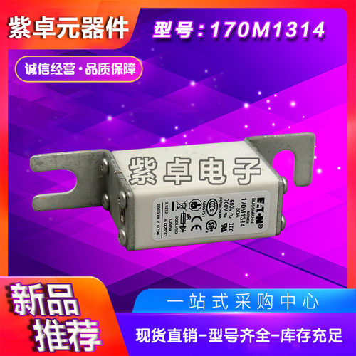巴斯曼170M1314-1318快速熔断器