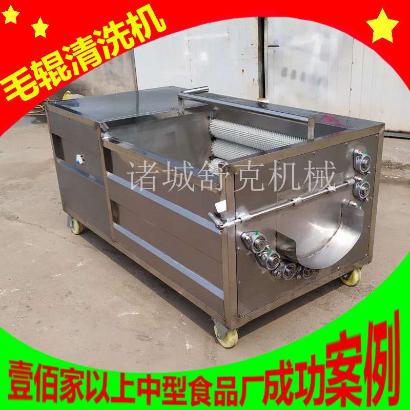 商用花生毛刷清洗机 厂家直销土豆去皮清洗专用毛辊清洗设备现货