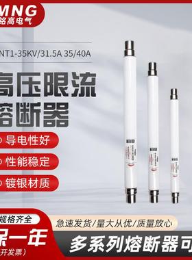 专业xrnt1高压熔断器XRNT1-35kv/31.5a35/40A35/25A35/10A
