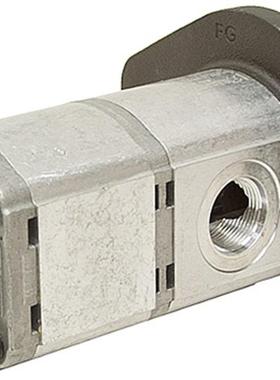 CASAPPAPUMPKP30.61-67/20.14D