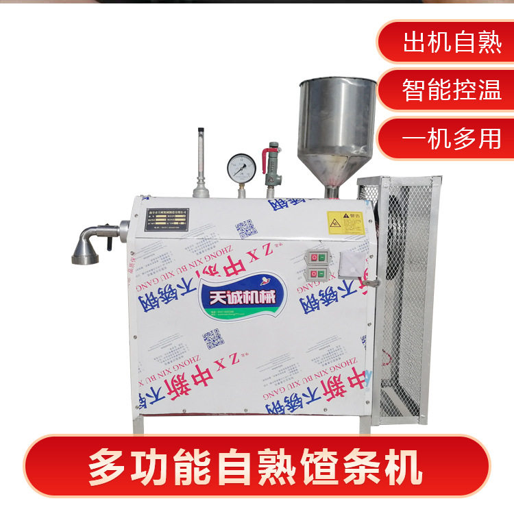 天诚牌商用自动熟化酸汤子机