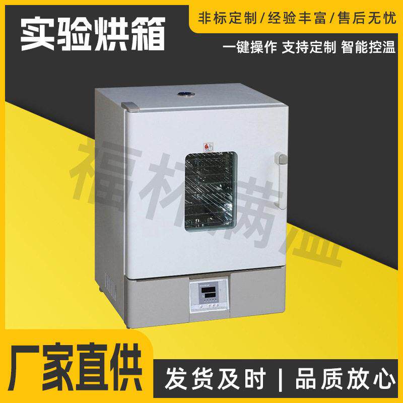台式小型涂料烘箱工业智能控温实验室干燥箱油漆试样鼓风干燥箱