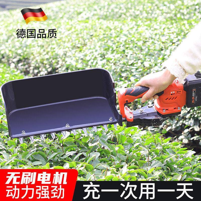 茶树修剪机电动绿篱机充电式园林绿化修枝剪背负式双刃修枝剪包邮