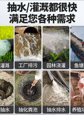 安德利切污水水泵割泵厕所抽粪泵家用农田2抽水泵化粪池泥DVM浆20