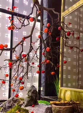 日式柿子仿真柿子树饰假挂树植大型仿真造景吊顶壁挂装吊挂绿件倒