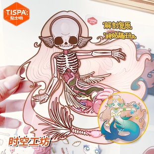 时空工坊解剖复原贴纸拼图3D可爱摆件DIY手账益智玩具儿童造景