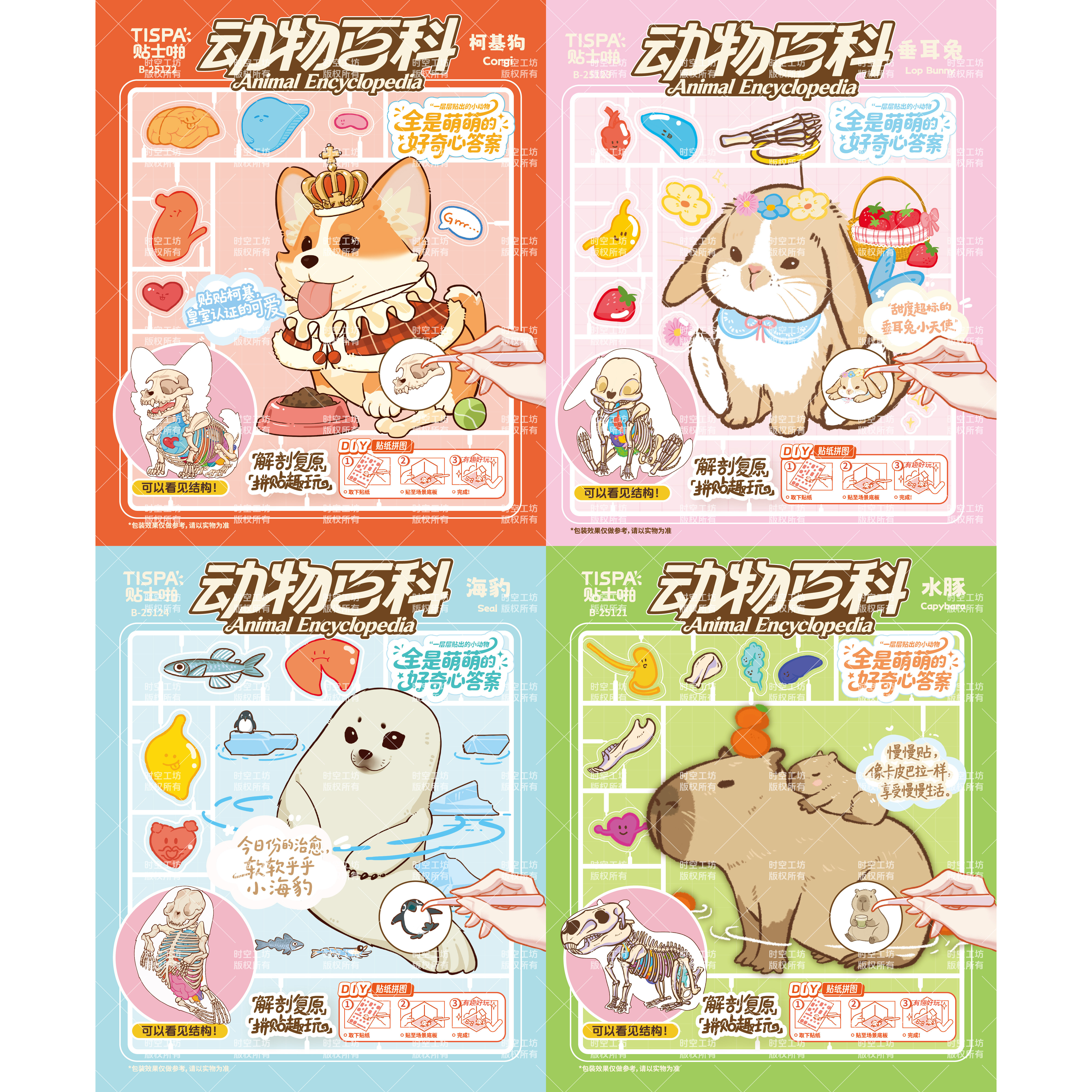 时空工坊解剖复原6.0贴纸拼图摆件动物百科可视结构益智玩具儿童,文具电教/文化用品/商务用品,贴纸/立体贴纸,淘宝优惠券,粉丝福利购,淘宝优惠卷