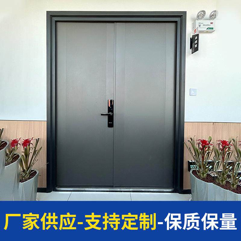 家用简约轻奢钢制防盗门结实耐用隔音防火门单开别墅门平开子母门