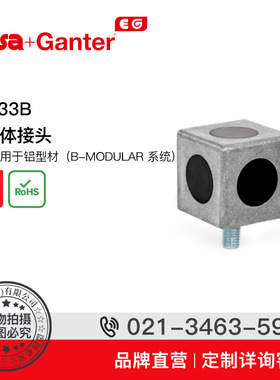 Elesa Ganter伊莉莎冈特 GN 33b立方体接头 用于连接 2至3 个型材