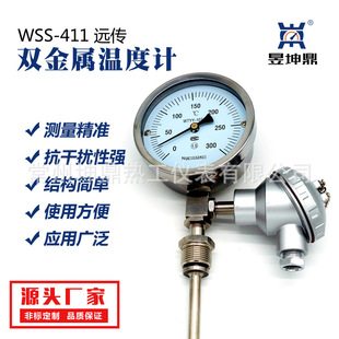WSS-411双金属温度计 远传双金属温度计 防腐双金属温度计
