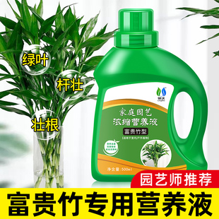 速发富贵竹专用营专液水培植物竹子生根液转运竹绿植治叶子发黄养