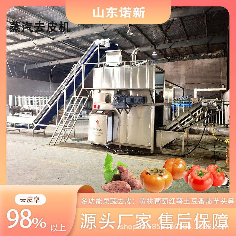 大批量商用桃子葡萄脱皮机一机多用果蔬蒸汽去皮机诺新科技