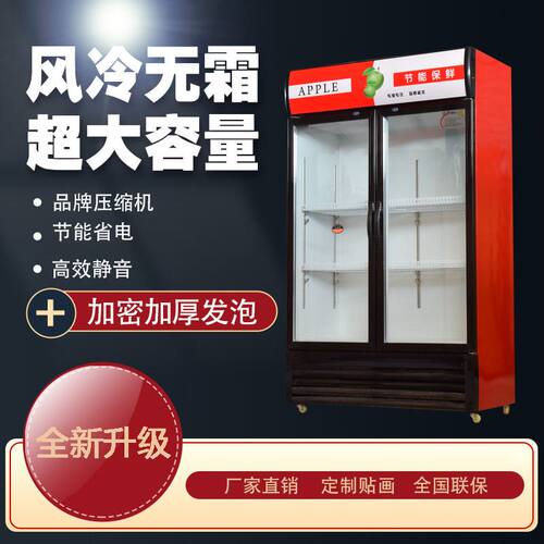 啤酒柜商用立式冰箱大容r量保鲜柜小超市便利店蔬果饮料冷藏展示