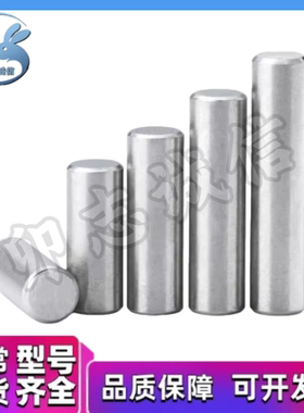 小径定位销 高硬度不锈钢 直柱型 CFKKS CPKKS CTKKS CXKKS