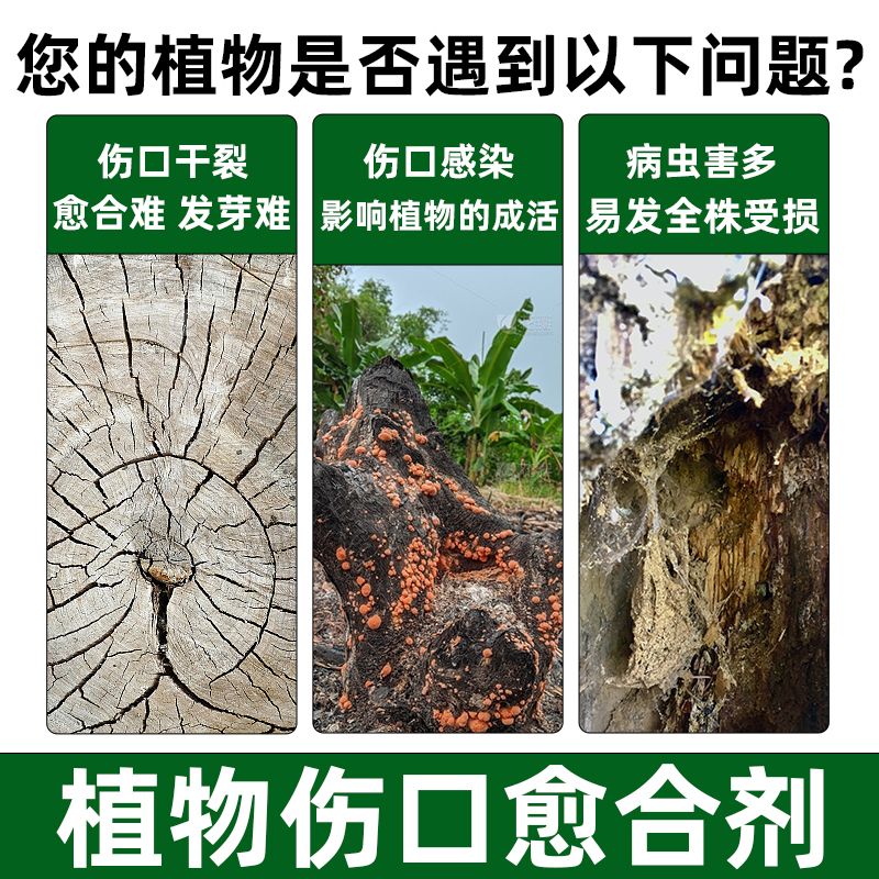 果树伤口愈合剂树木植物盆景树桩树皮嫁接树枝剪枝切口修复涂抹膏