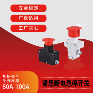 电动叉车汽车房车通用直流急停断电开关紧急断电急停按钮80A 100A