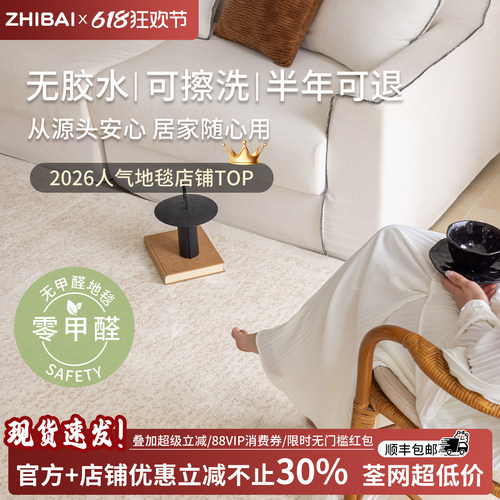轻奢无胶无甲醛免洗防水地毯