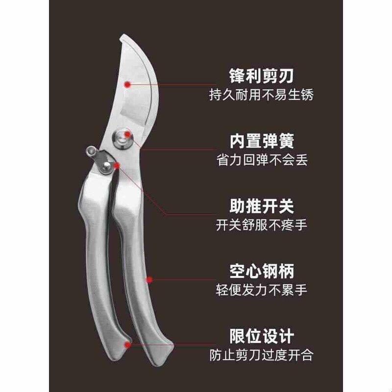 园艺剪枝剪刀修枝剪不锈钢果树园林树枝盆景修剪造型专用剪子工具图片