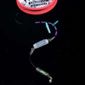 美人鱼超级杯大物巨物线组主线线组成品钓大鱼青鱼鲟鱼加强配件