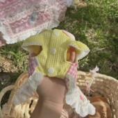 宠物衣服狗狗马尔济斯比熊泰迪博美雪纳瑞小狗小型犬猫秋冬装