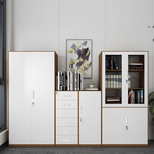 办公收纳柜铁皮文件柜n资料储物柜档案凭证柜 套色 窄边精品玻璃