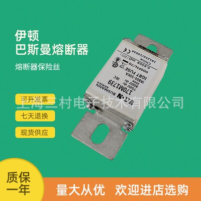 全新原装快速熔断器保险丝170M1730 170M1731 170M1732 170M1733