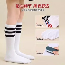 【毕业季】儿童长筒袜女童夏款长袜高筒袜中筒袜男童足球袜啦啦袜