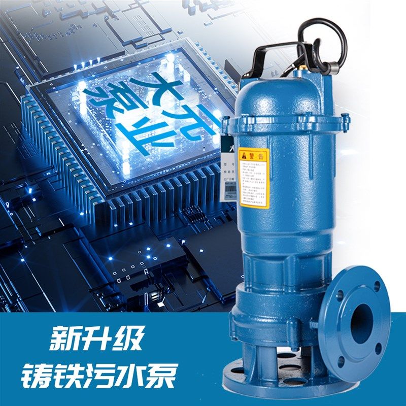 大元污水泵家用吸淤泥抽化粪池污水池抽水泵排涝泵灌溉机自动铸铁