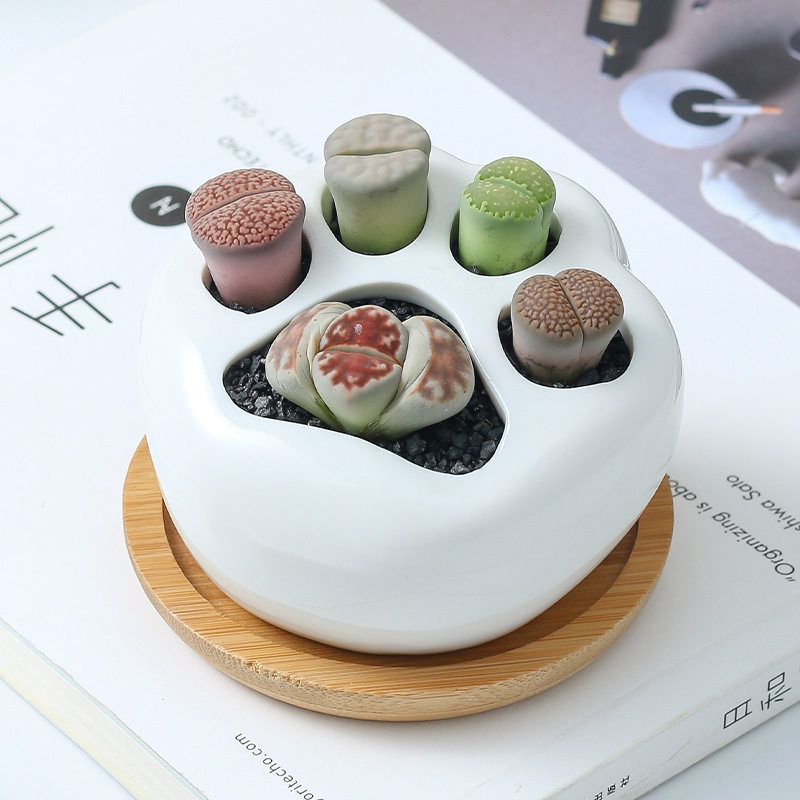 简约白色创意多肉植物陶瓷可爱小猫爪树梢竹架日式组合盆栽花盆