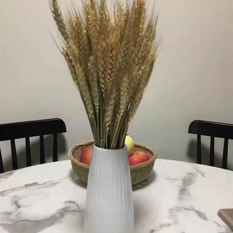 天然麦穗干花花束开业大麦田园装饰礼品拍摄道具稻穗干花真花包邮