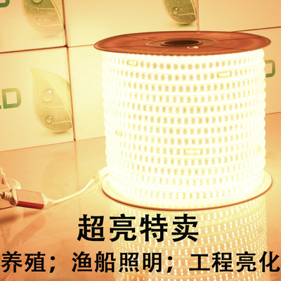 户外灯带LED超亮防水220V厂房养殖工地亮化照明长条形灯白光3624V