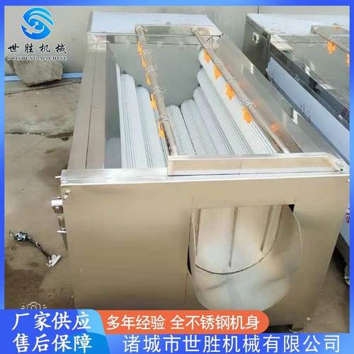 供应根茎类蔬菜清洗机 万根苕毛刷清洗机 不锈钢生姜去皮清洗机