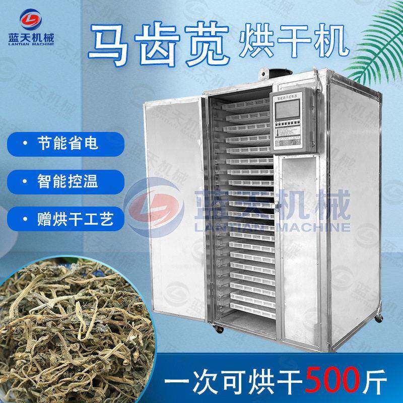 马齿苋烘干机小型商用五行草麻绳菜烘干箱马齿菜烘干机设备