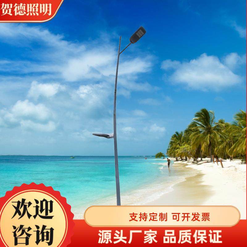 路灯户外6米8米道路弯臂灯杆厂家单双臂锥形Q235镀锌钢材灯杆定制