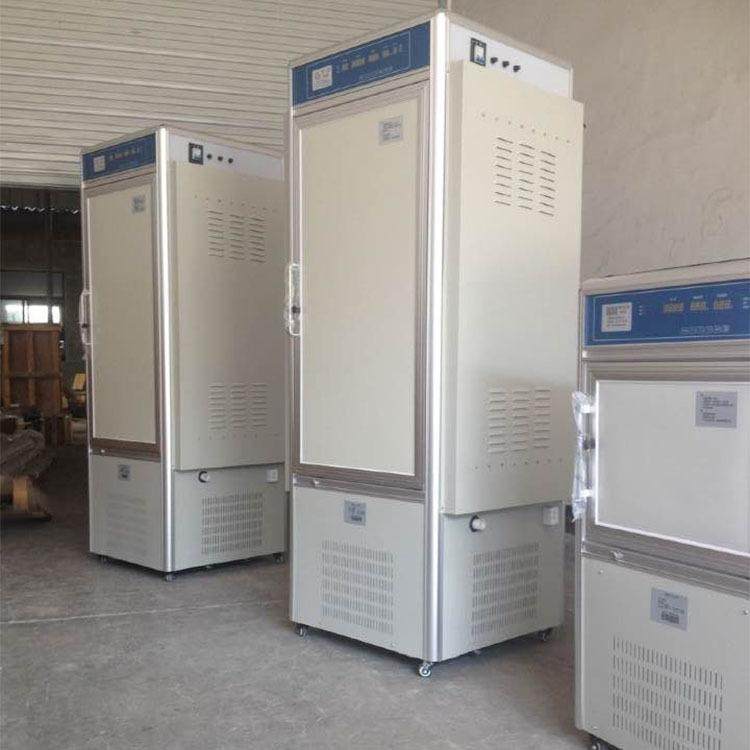 自动豆芽机 大型多功能发豆芽的机器 种子发芽机