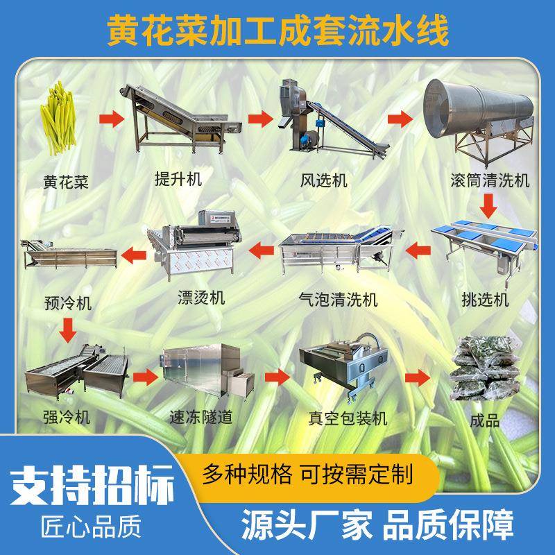 长酸豇豆清洗漂烫流水线 蕨菜带豆角豆清洗机 速冻蔬菜加工生产线