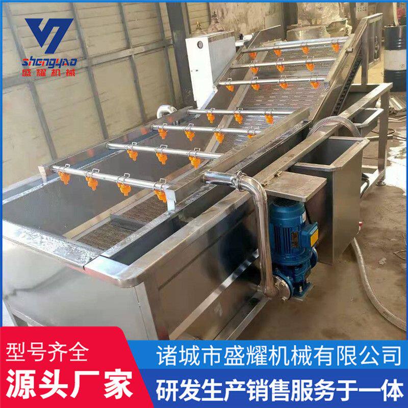 盛耀杨梅气泡喷淋清洗机 鱼类清洗解冻机 喷淋中药清洗机价格