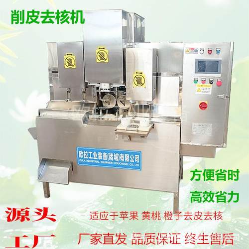 水果罐头去核加工生产线 橙子去皮机 多工位商用黄桃去皮去核机