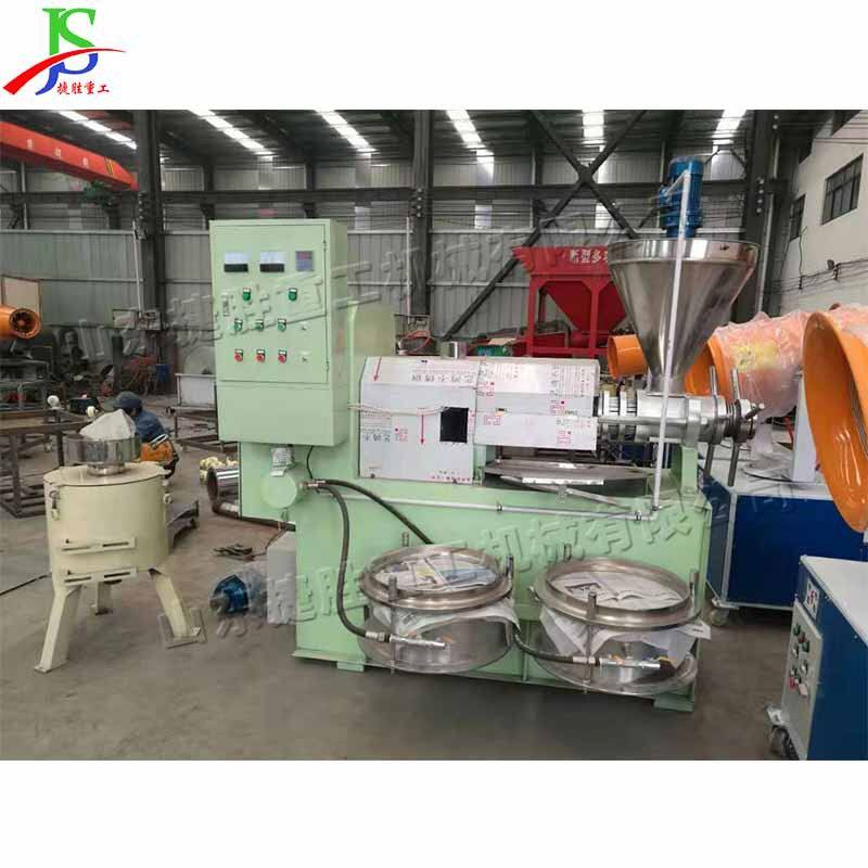 自动化油茶籽菜籽榨油机 油厂螺旋食用油榨油机 大型核桃榨油机