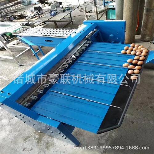 精准分选鸡蛋大小   每小时5400产量 选配吸盘上蛋 输送机 光检