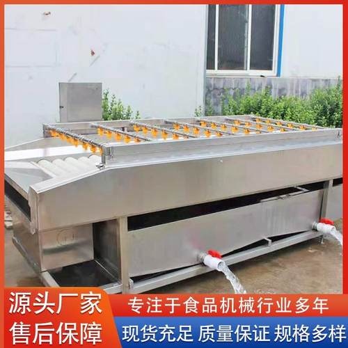 连续式檞树叶芦苇叶清洗机设备 毛辊刷式去皮去泥沙清洗机