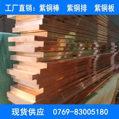 专业CU-ETP紫铜铜排 无氧高导电率铜c101铜棒 紫铜排紫铜棒
