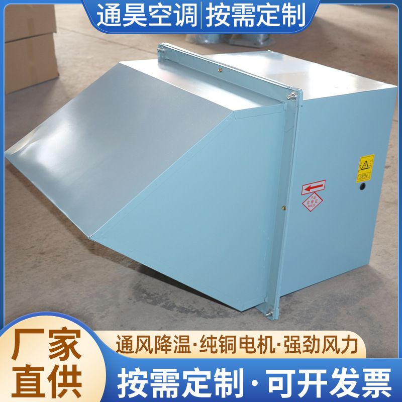 大功率金属防雨罩工业通风排风机 工业厂房防爆低噪声WEX边墙风机