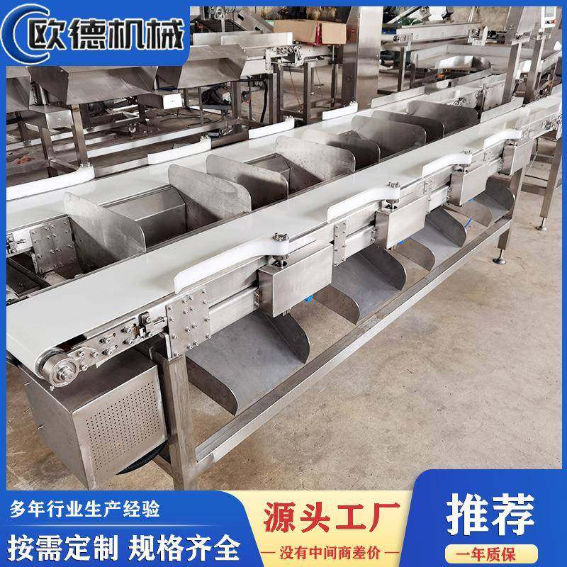 食品皮带式重量分选机 红枣橙子分拣机器 小龙虾帝王蟹分级机,清洗/食品/商业设备,肉制品加工设备,淘宝优惠券,粉丝福利购,淘宝优惠卷