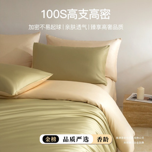 高端100支新疆长绒棉床上防螨四件套纯棉2025新款 全棉床单被套