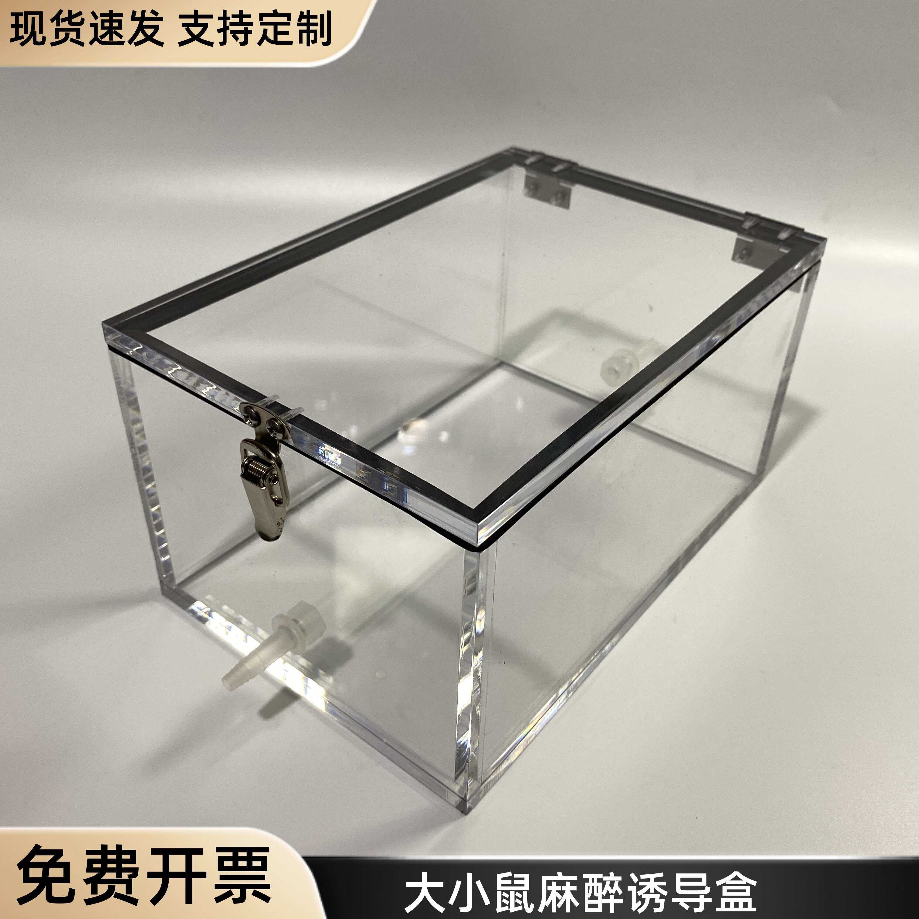 大鼠小鼠兔子麻醉诱导箱诱导盒预麻箱小动物麻醉配件可定制尺寸